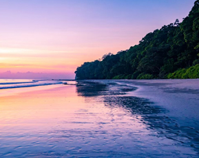 Andaman Baratang Havelock