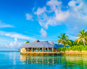 Andaman & Havelock Tour