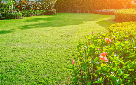 Lendi garden of subhayatra